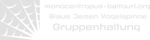webspinnen.eu Logo