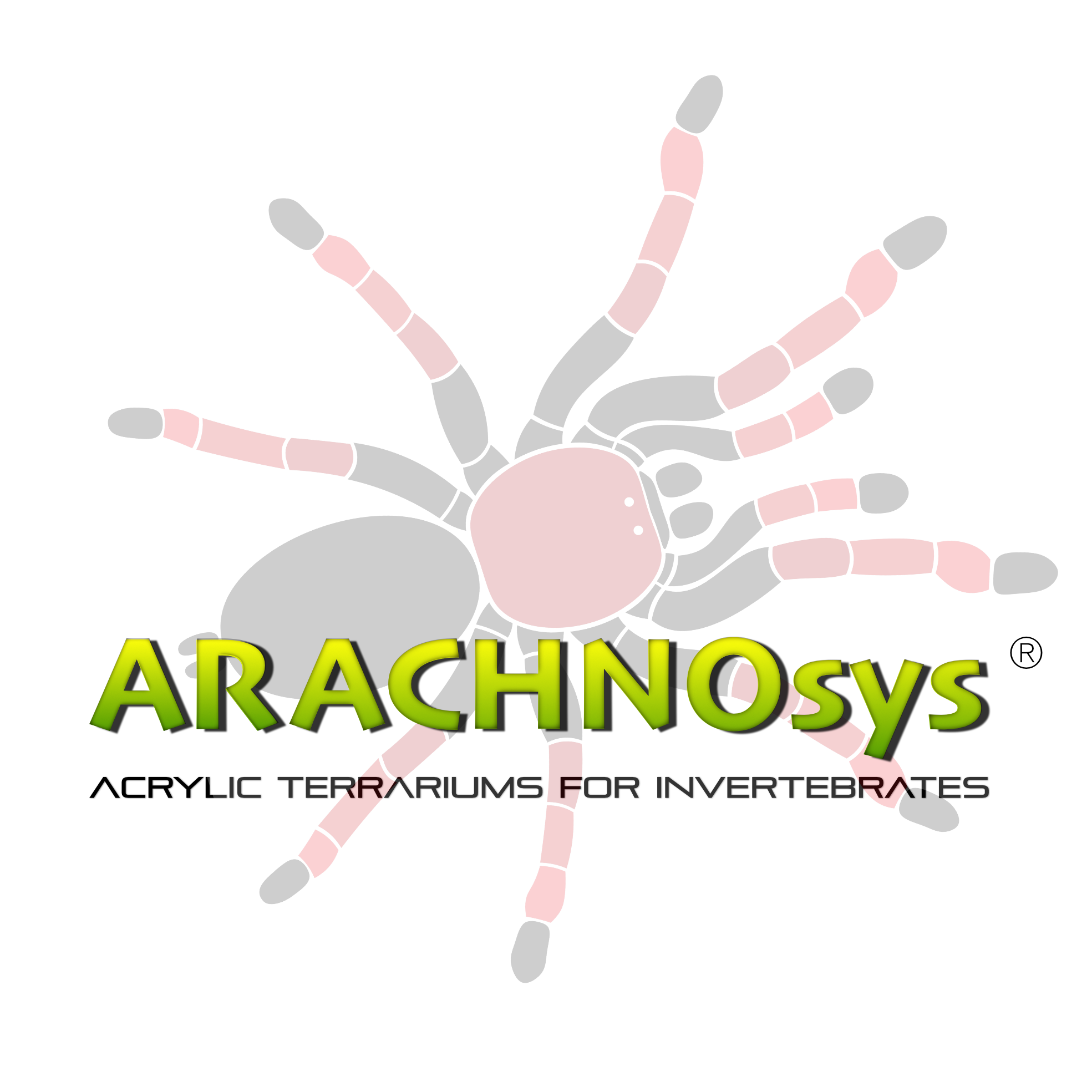 arachnosys.com logo